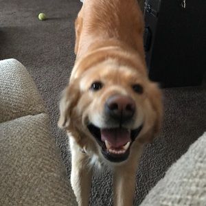 Meet your Posher, Anna